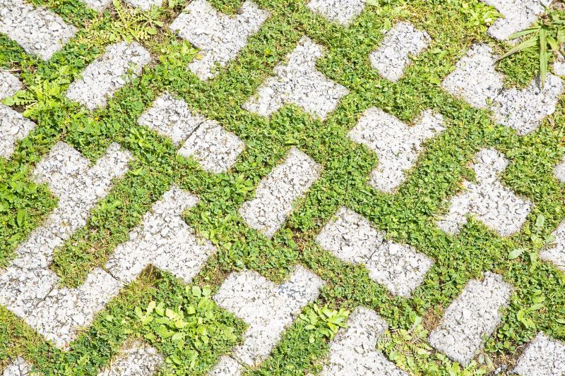 Landscape Architects